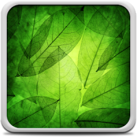 녹색 잎라이브 배경 화면