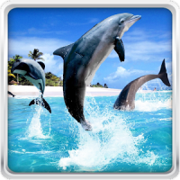 Delfin HD Hintergrundbilder