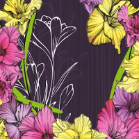 collage de fotos de flores