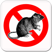 Anti Ratte Pro