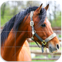 Horses Tile Puzzle