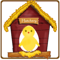 Egg Hatcher- Funny game