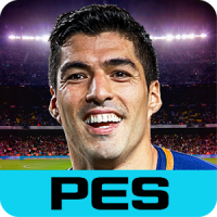 PES COLLECTION