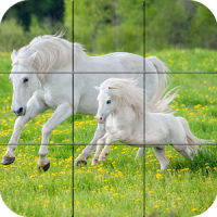Puzzle - schöne Pferde