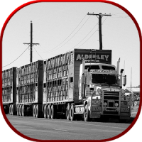 Cargo Truck Transporter: Fork