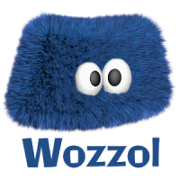 Learn vocabulary with Wozzol - Flashcards