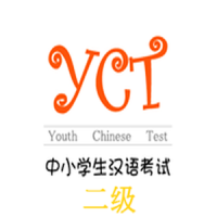 YCT-II