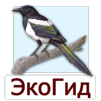 EcoGuide: Russian Birds