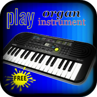 organ instrument