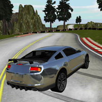Sport Car Simulator