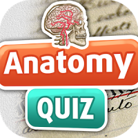 Anatomia Diversão Livre Quiz