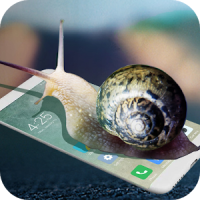 Snail in phone prank