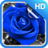 Blue Rose Live Wallpaper HD