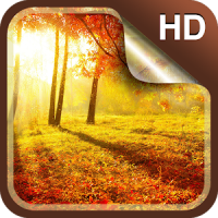Herbst Live-Hintergründe HD