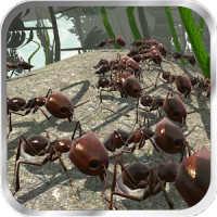 Ant Simulation 3D