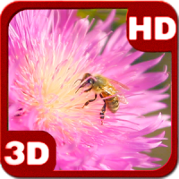 3D Bee on a Clover Flower Free