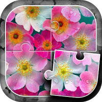 Flowers Puzzle Game