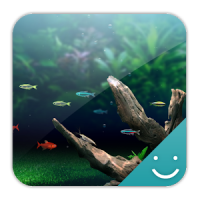 NATURE AQUARIUM Theme