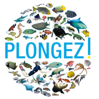 Plongez !