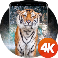 동물 배경 화면 4K
