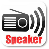 Radio Speaker