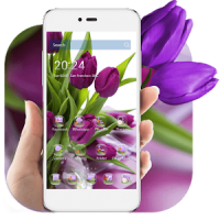 HD Purple Tulip Wallpaper
