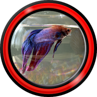 Aquarium Live Wallpapers for Android™