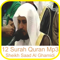 Saad Al Ghamidi 12 Surah Quran