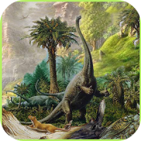 Jungle Dinosaur Cards and Game