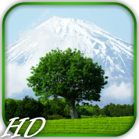 Mount Fuji Video Wallpaper