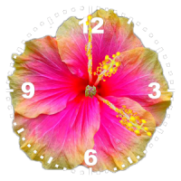 Hibiscus Clock