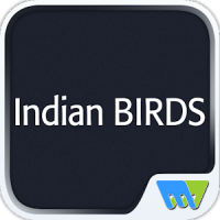 Indian BIRDS