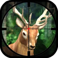 Moose Hunting 2016