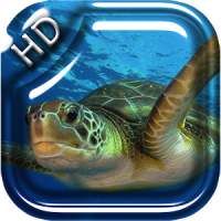Turtle Underwater Live WP