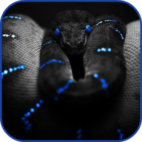 Snakes HD live Wallpaper