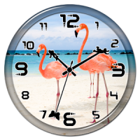 Flamingo Clock Live Wallpaper