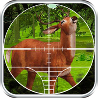 Hunting Forest Animals