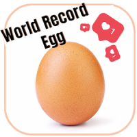 The world record egg - Challenge