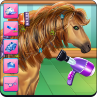 Horse Hair Salon