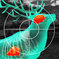 Wild Hunt:Sport Hunting Games. Hunter & Shooter 3D