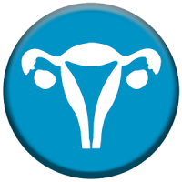 Obstetrics & Gynecology OCCE