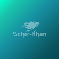 Scher-Khan Universe
