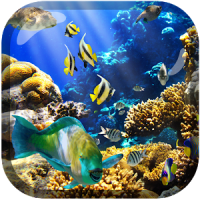 Buceo Sydney Underwater LWP