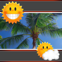 Palm Tree Clock And Weather