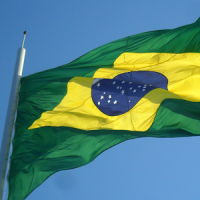 Bandera del brasil lwp