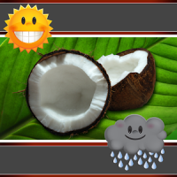 Coconut Clock And Weather