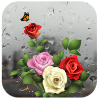 Rose Live Wallpaper with Waterdrops