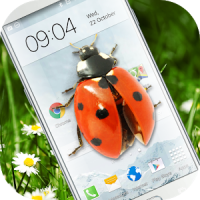 Ladybug in Phone Funny joke