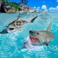 Shark Hunting Deep Dive 2