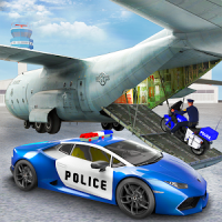 Police Airplane Pilot